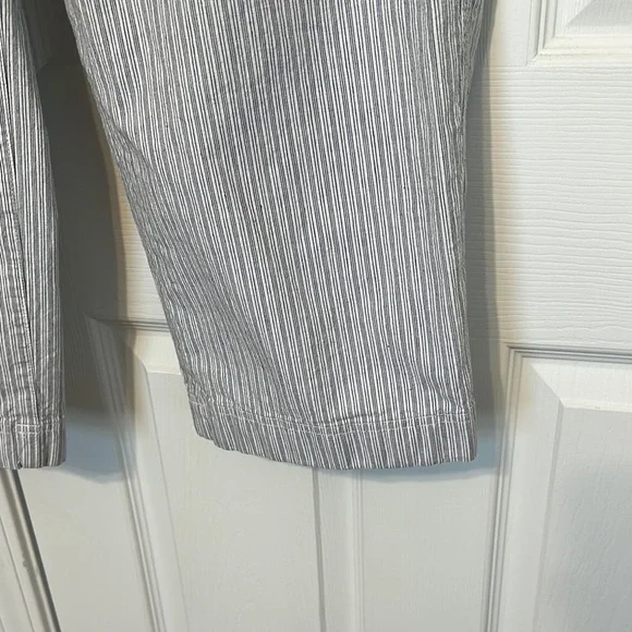 Duluth Trading Co. Blue and White Striped Cropped Pants size 8 EUC - Picture 4 of 6